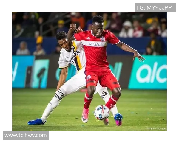 纽约城与波特兰的文化碰撞与城市魅力的深度比较分析